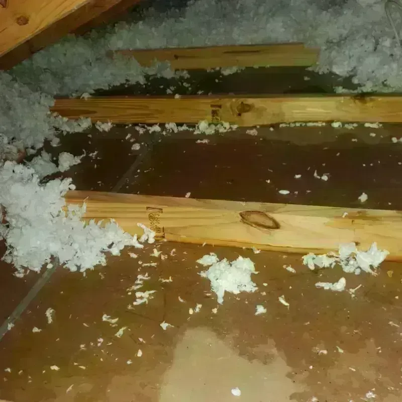 Attic Water Damage in Carnegie, PA